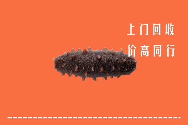 思茅区回收海参